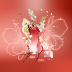 Alternative view of SHAKIRA DANCE MIDNIGHT MUSE EDT X 50ML