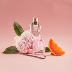 Alternative view of SHAKIRA DANCE EDT X 80 ML MUJER